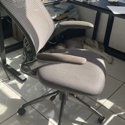 Ergonomic Rolling Chair