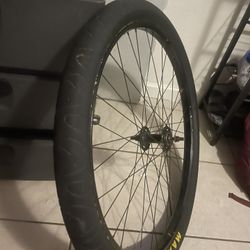 Throne Rim 