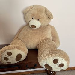 Giant teddy $15