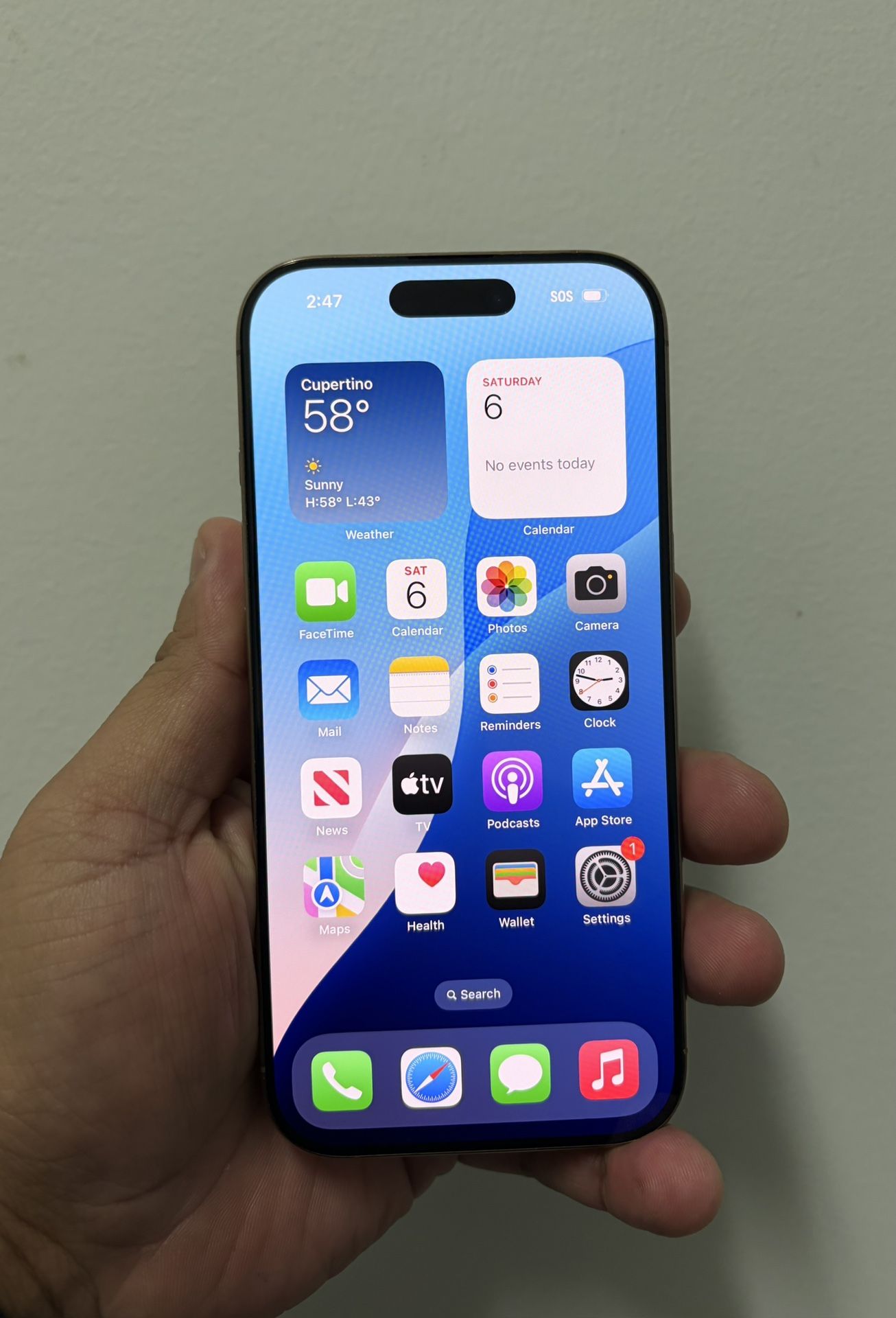 iPhone 16Pro 256GB Dessert (Check Description)