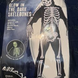  size child 4-6  from spirit halloween 
