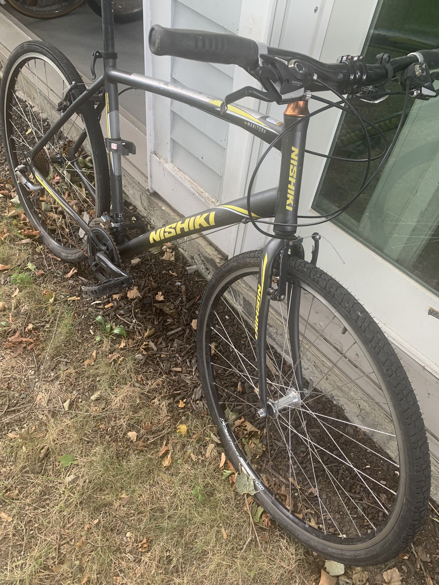 Bike, Rideable But Could Use A Little Work