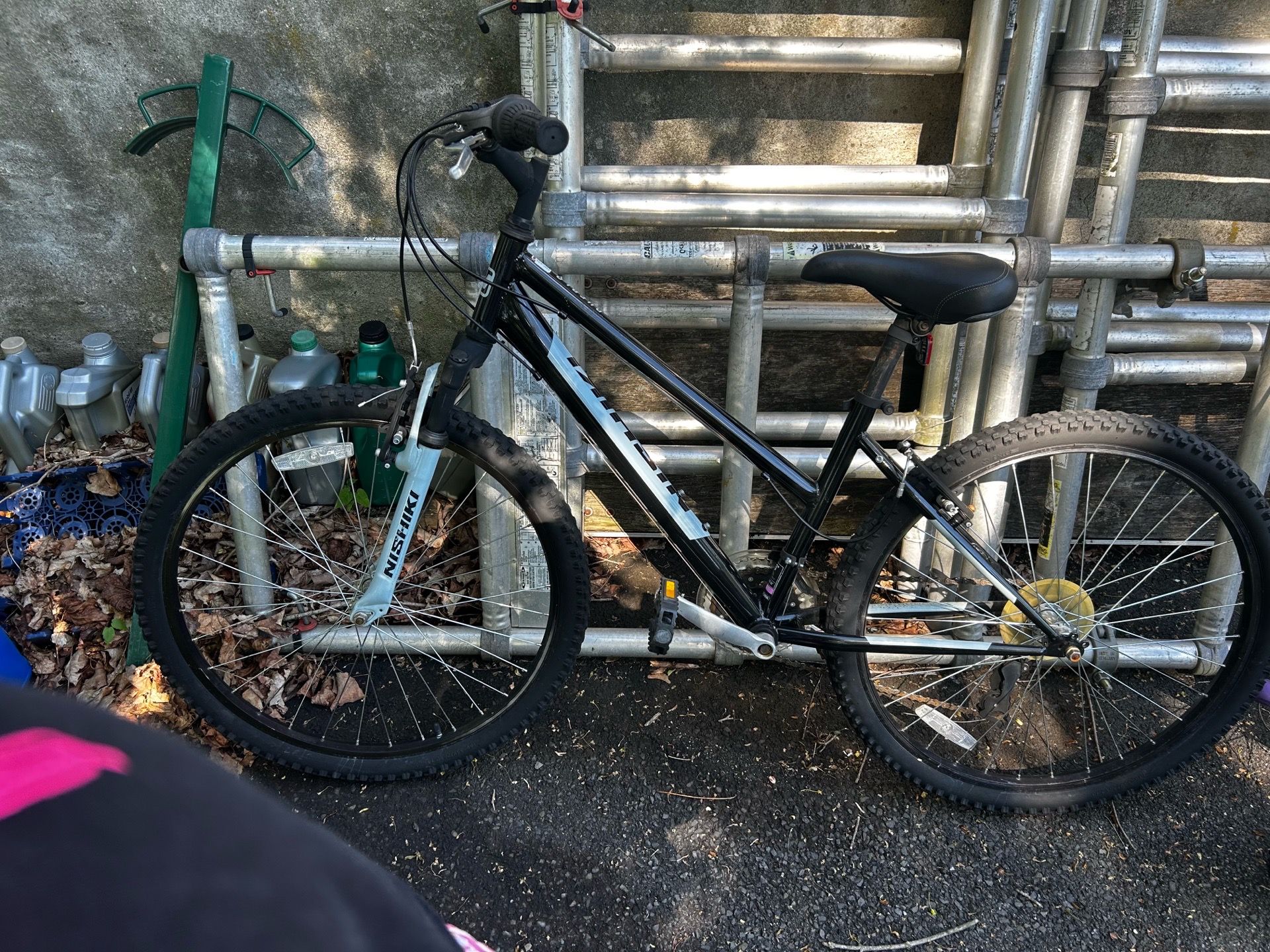 Dicks Sporting goods Nishiki mountain bike