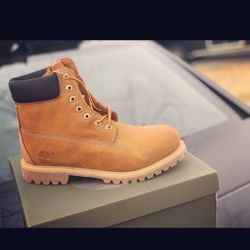 Brand new Tim’s size 13