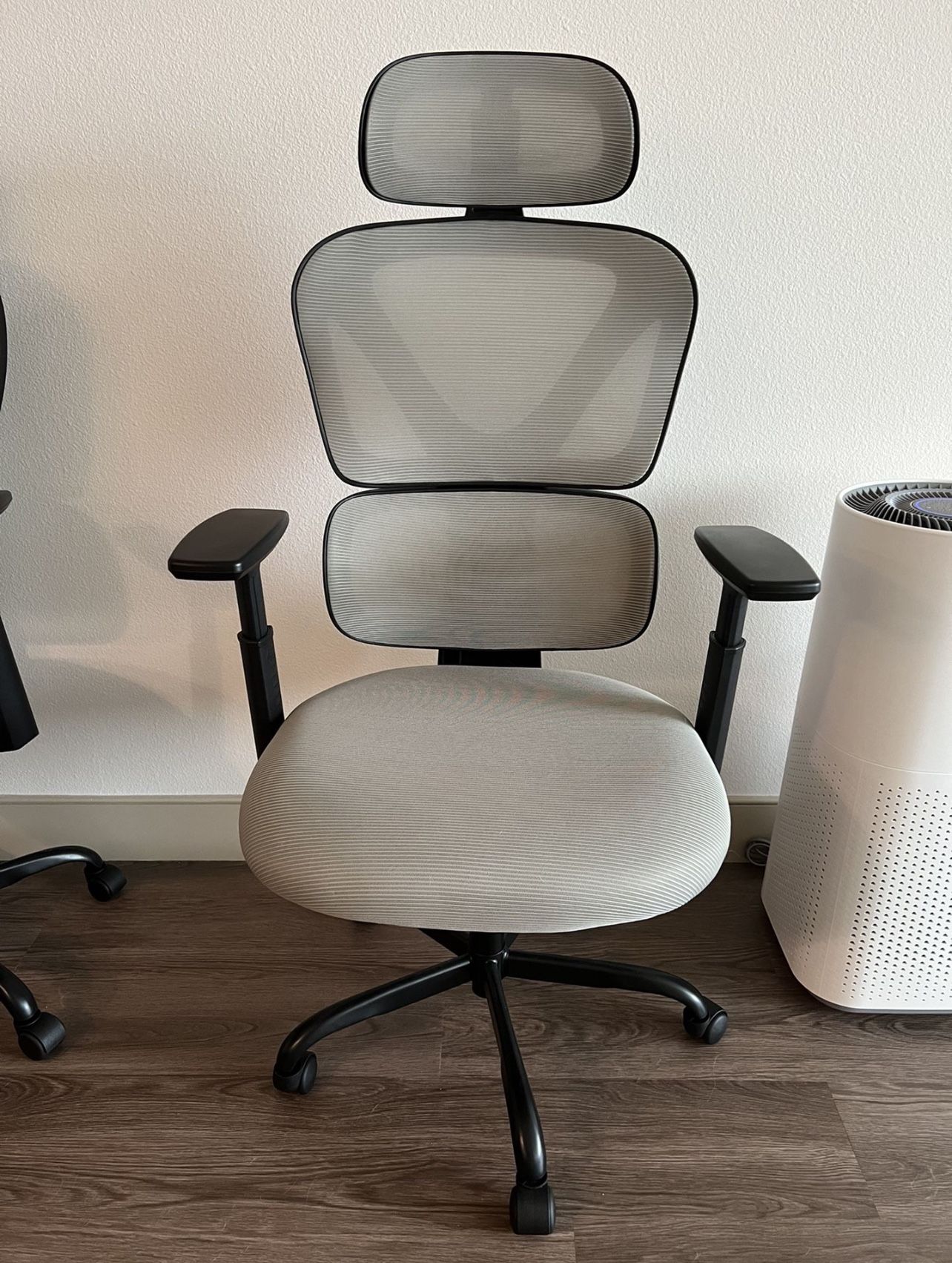 Kerdom Ergonomic Adjustable Office Chair (gray)