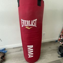 Punching Bag 