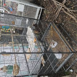 Bir Cage 