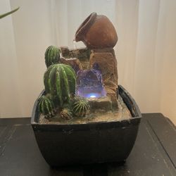 Cactus Fountain