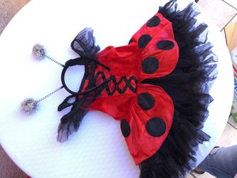 Size 3t Lady Bug Costume