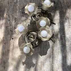 Free Light fixtures