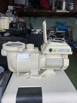 Pool Pumps