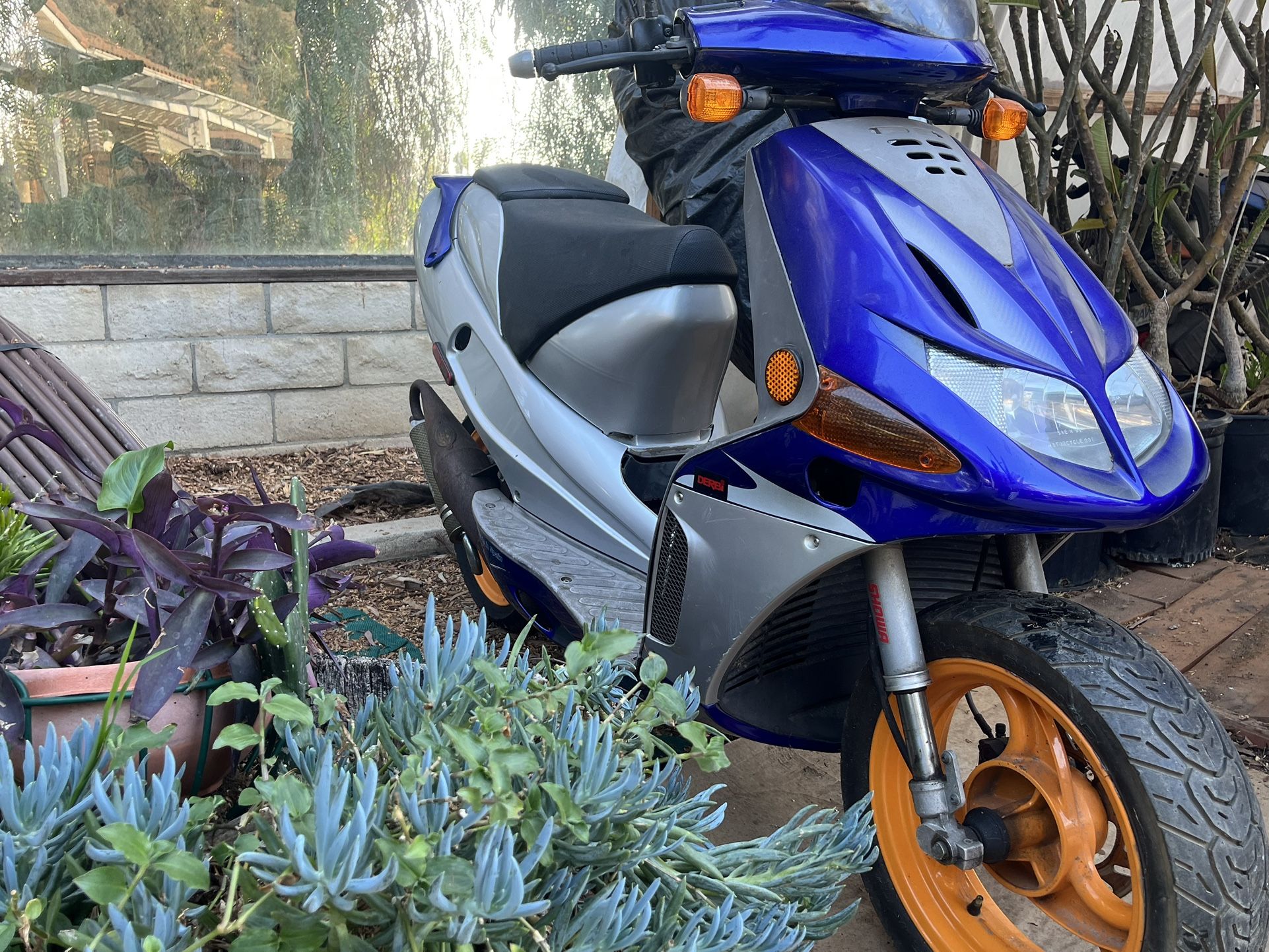 2001 Derbi Predator