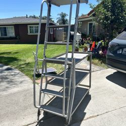 Cart With Ladder Alum Dim 50” 21”x38” Ladder 75”