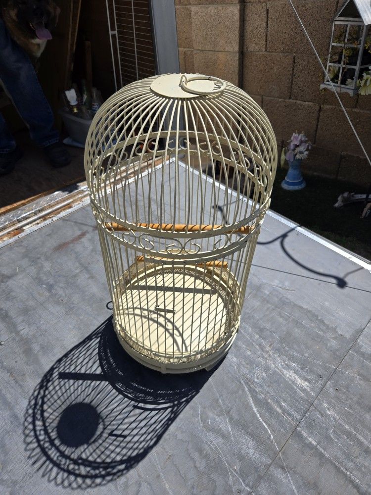 Bird Cage