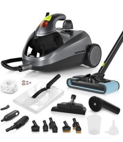 Steam Cleaner