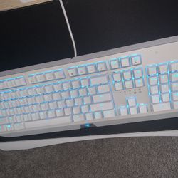 Alienware Blackwidow Mercury Keyboard & Mouse