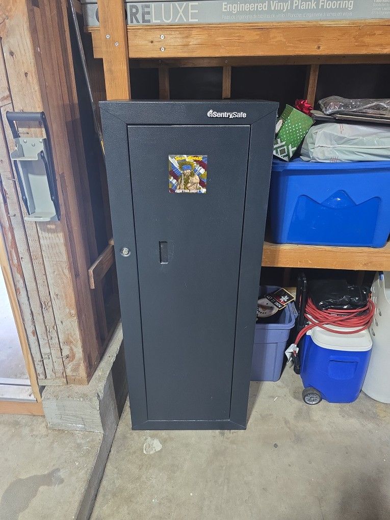Sentry Gun Safe