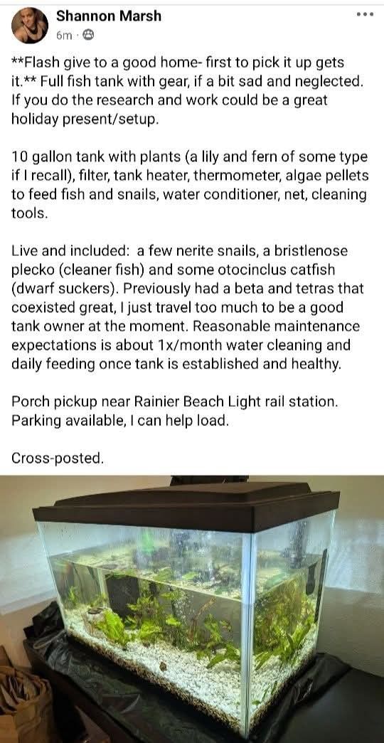 Fish tank and accessories (10 gallon) with plants included