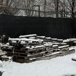 Free Pallets 