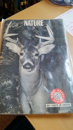 Boy scouts of America Merit Badge