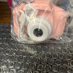 digital camera、 laptop battery、spray gun、hearing aid、dog training stick、children's masks、outdoor chair