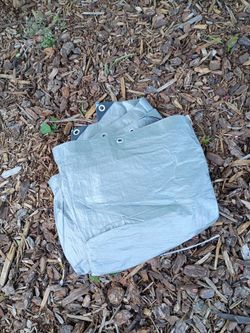 Tarp