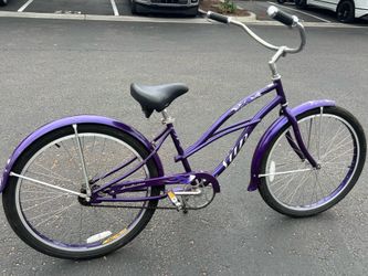 Sun custom cruiser 26”