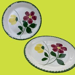 2 Blue Ridge Pottery Hand Painted  Plates 9.25 Inches 