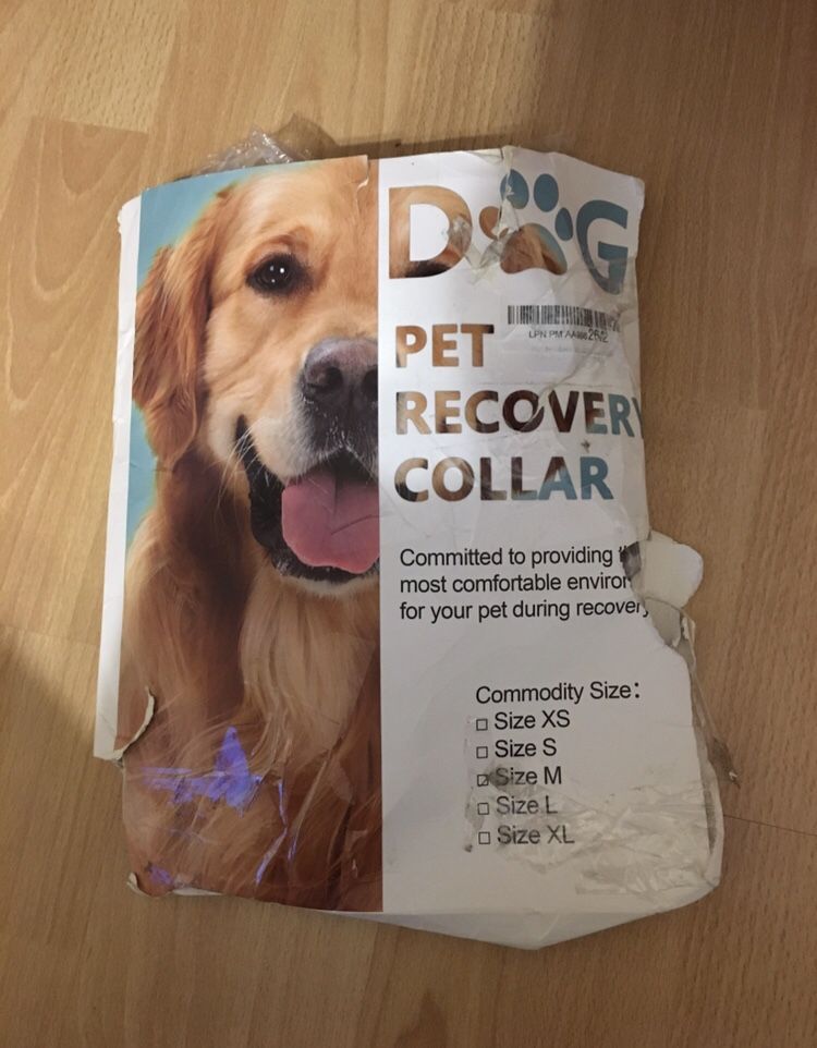 Pet Recovery Collar