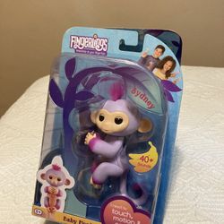Toy