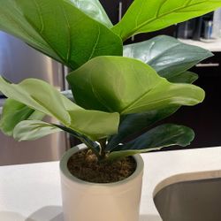 Fake Plant 