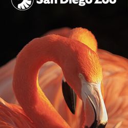ZOO 50% OFF TICKET COUPON READ CAPTION