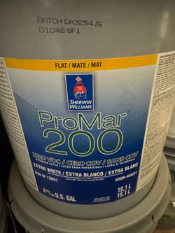 5 Gal Flat paint