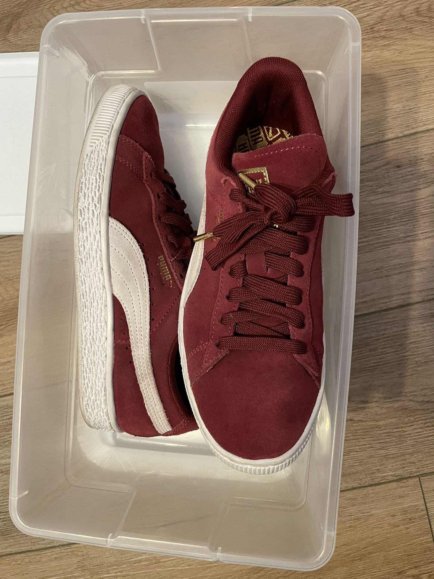 Pumas