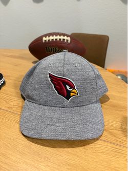 Arizona Cardinals NFL Har SnapBack Grey