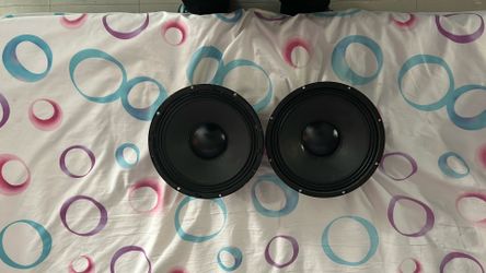 10in Skar Speaker x2 (Used)