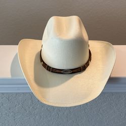 Cowboy Hat (kid Size)