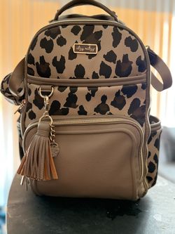 Itzy Ritzy Diaper Bag