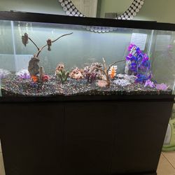 75 Gal Fish Tank, Stand, LED light and More