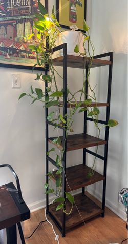 5 Tier Bookshelf or Shelf