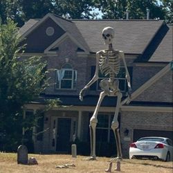 12ft skeleton prop