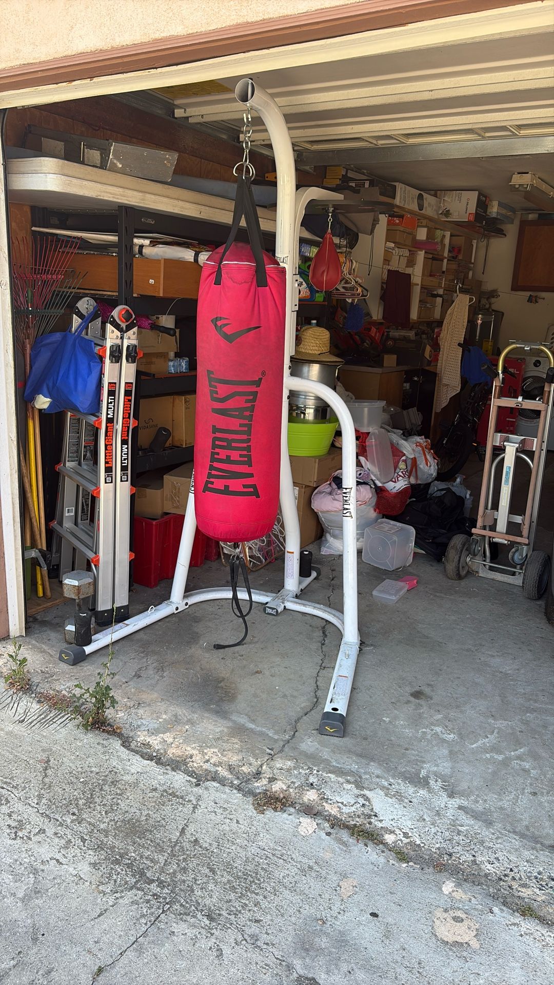 Boxing Bag And Speed Bag