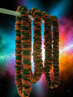 Graduation leis