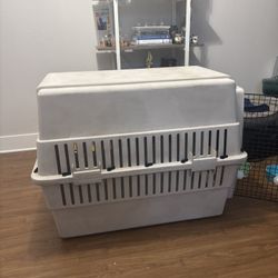 Hard Shell Dog Kennel