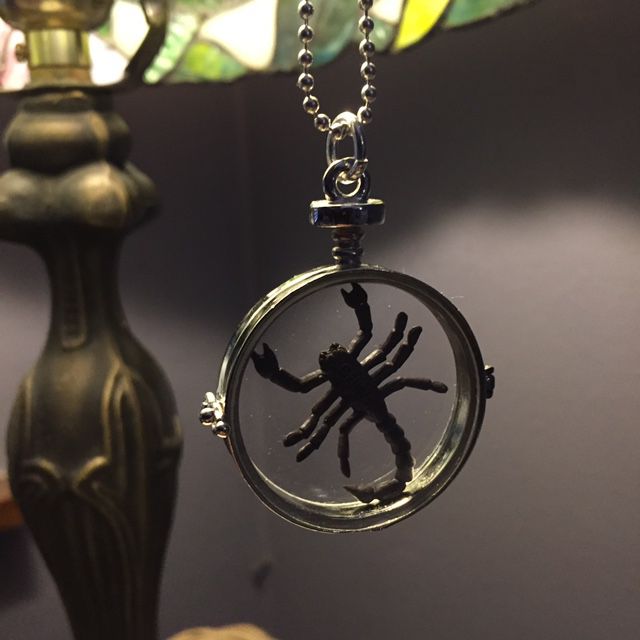 Fake Scorpion Specimen Pendant Necklace - Silver Jewelry Science Nature Goth NEW