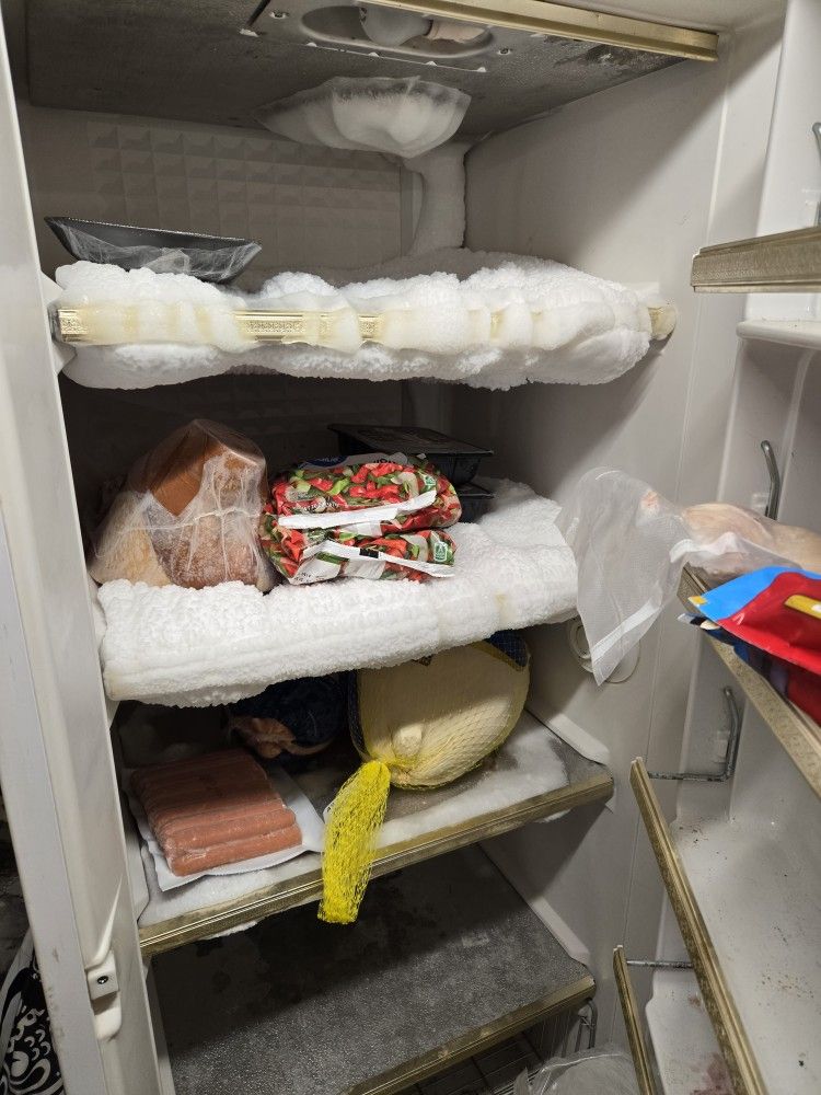Upright Freezer