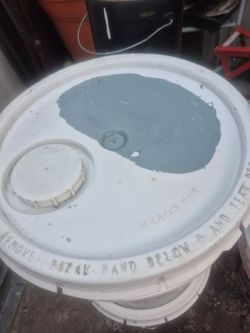 Pinturas Nuevas $100 cada una Behr Marca