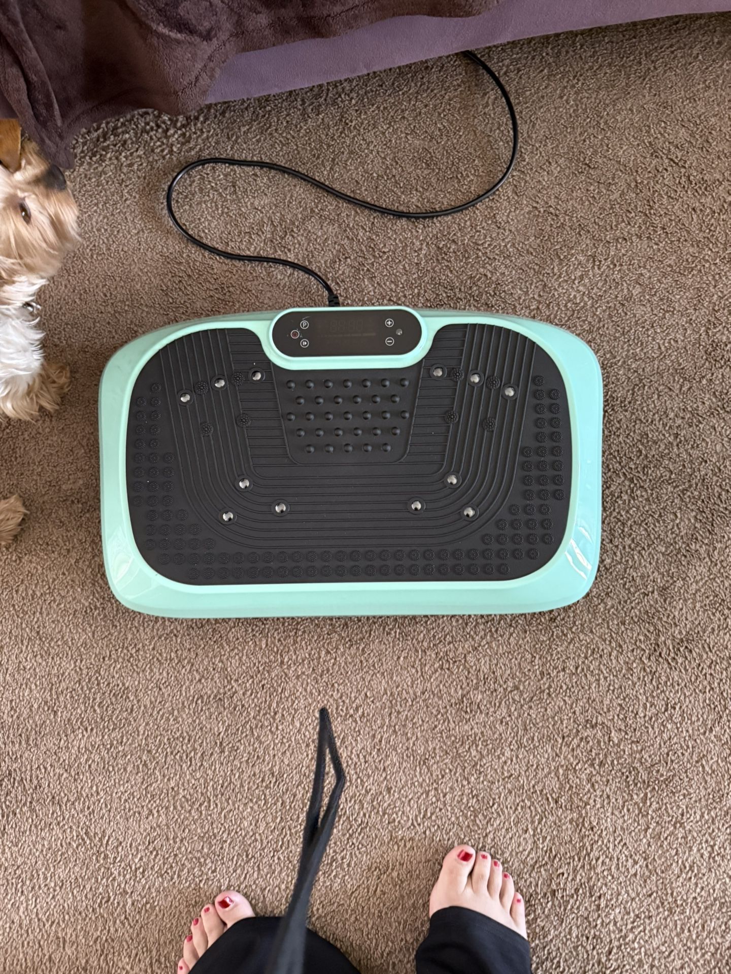 Wave Plate New $60 OBO