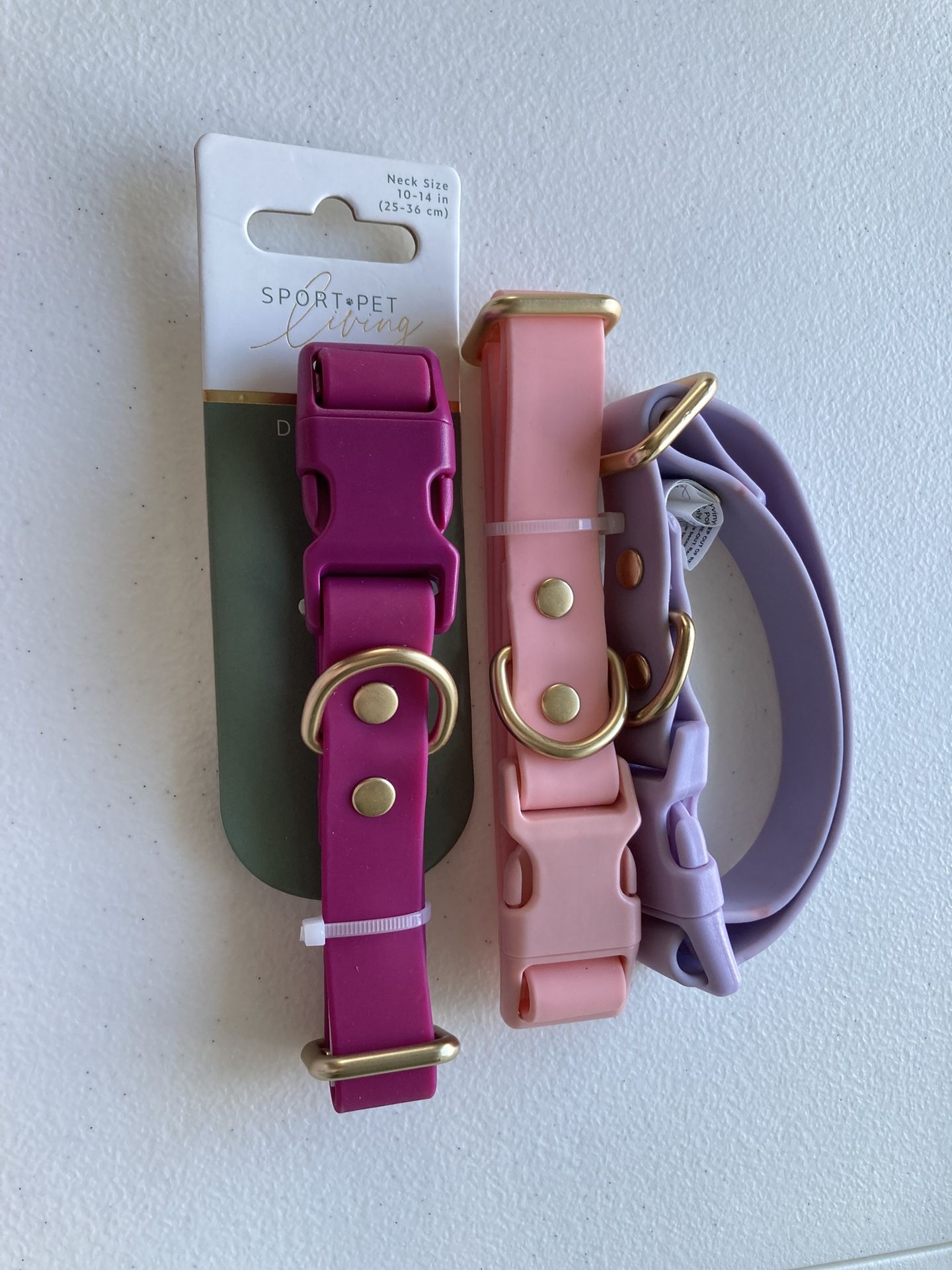 Dog Collar