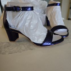 Never Used Naturalizer Heels - Blue / 🟣